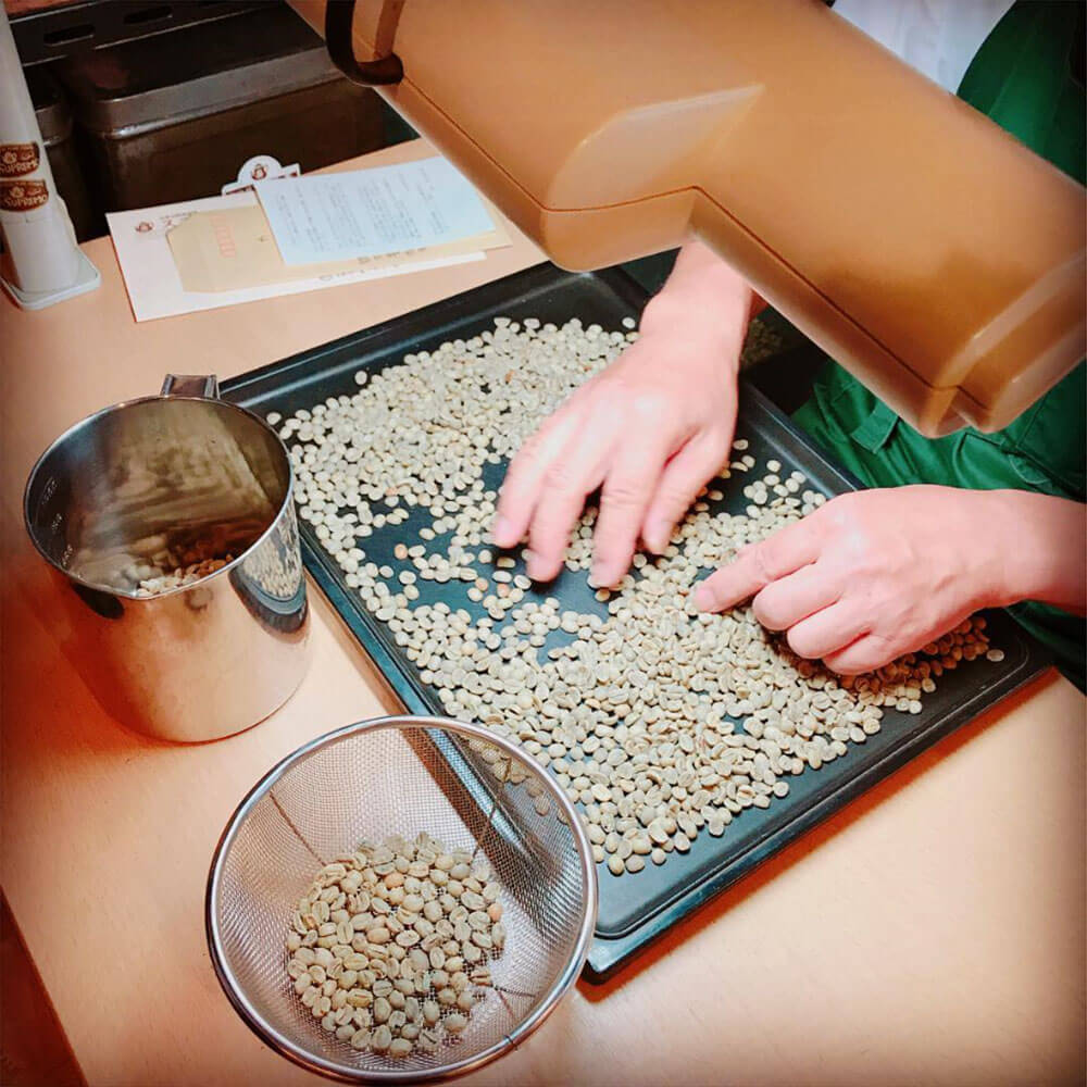 珈琲豆を手作業で仕分ける