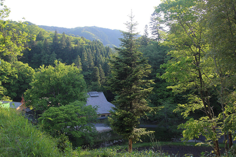 豊かな歴史と文化と自然のある吉田町の風景