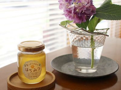 恒例行事　新入社員ゴーヤ植え2025