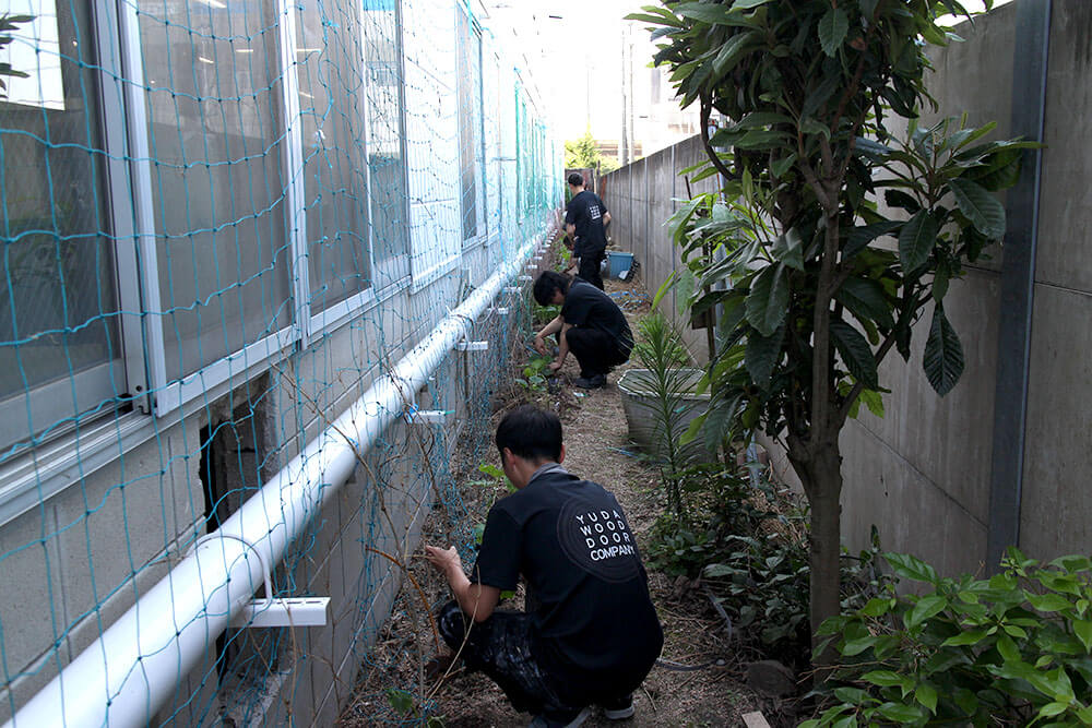 木製ドア工場の窓の外に、ゴーヤを植える社員たち